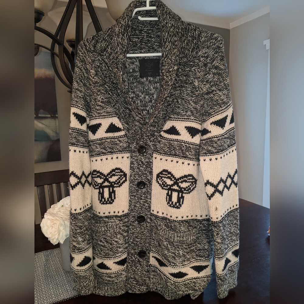 Aritzia TNA cowichan button up sweater